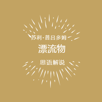 漂流物