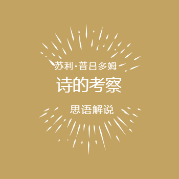 诗的考察