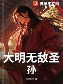 大明无敌圣孙