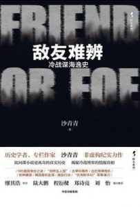 敌友难辨