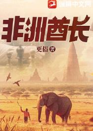 非洲酋长