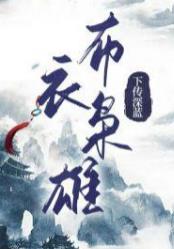 布衣枭雄