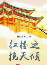 红楼之挽天倾