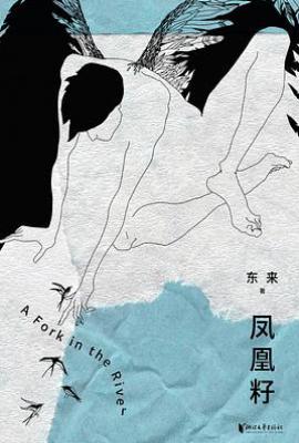 凤凰籽