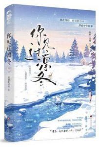你见过凛冬