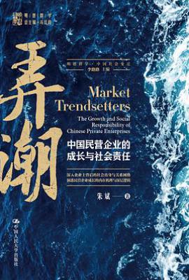 弄潮 : 中国民营企业的成长与社会责任