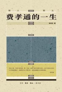 斯人斯土 : 费孝通的一生