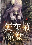 矢车菊魔女
